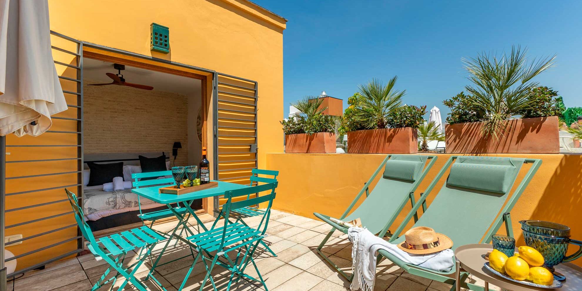 Ohliving Parasol Botanic Garden Ohliving Parasol Botanic Garden